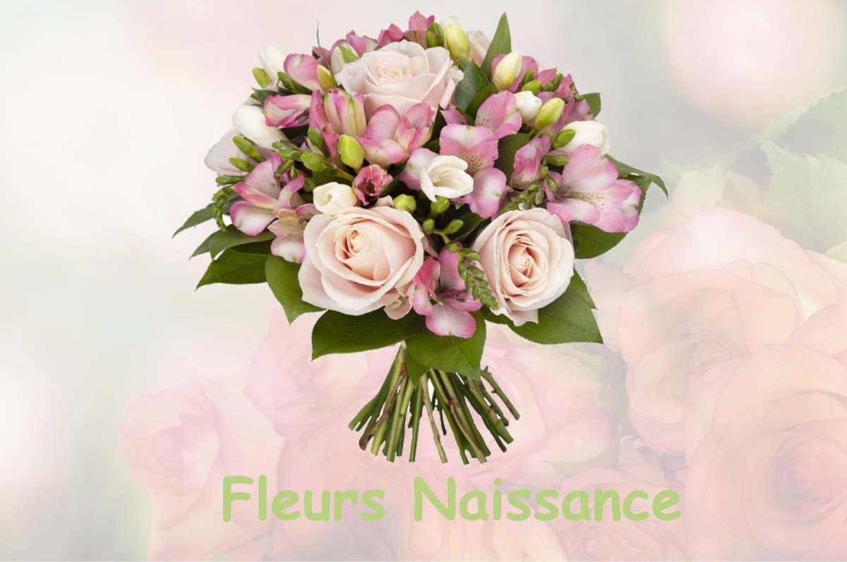 fleurs naissance PUYDANIEL