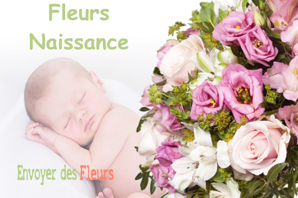 lIVRAISON FLEURS NAISSANCE à PUYDANIEL