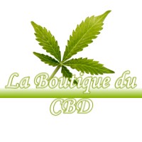 LA BOUTIQUE DU CBD PUYDANIEL 