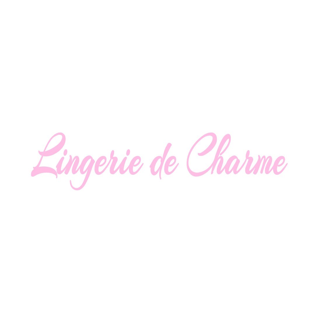 LINGERIE DE CHARME PUYDANIEL